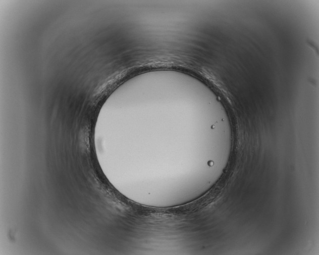 X0000102530681200808081053