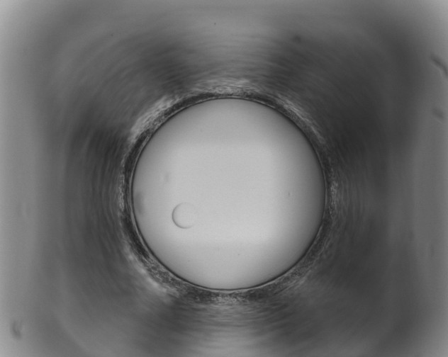 X0000102530682200808081053