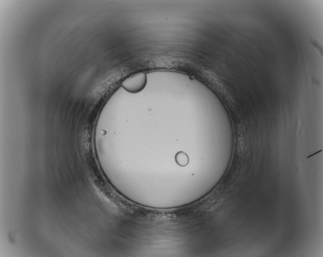 X0000102530683200808081053