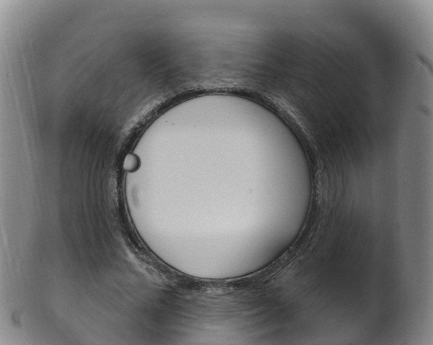 X0000102530684200808081053