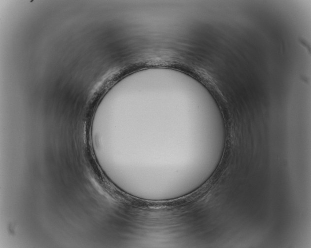X0000102530686200808081053