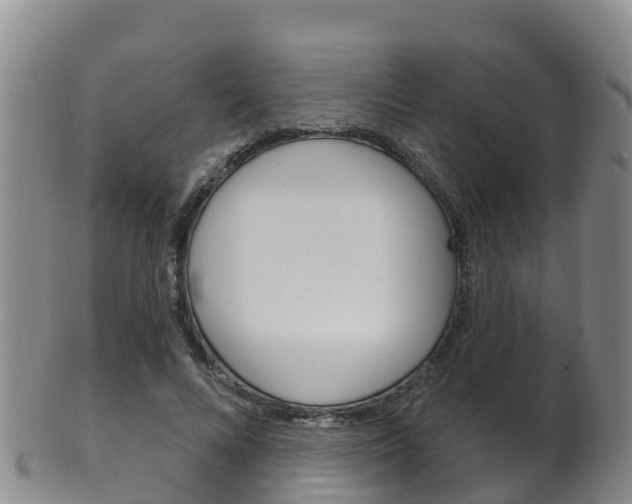 X0000102530688200808081053