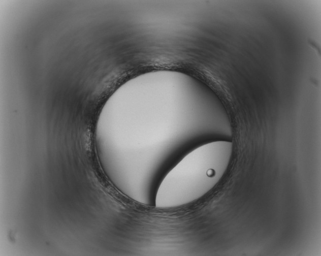 X0000102530689200808081053