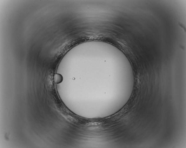 X0000102530691200808081053