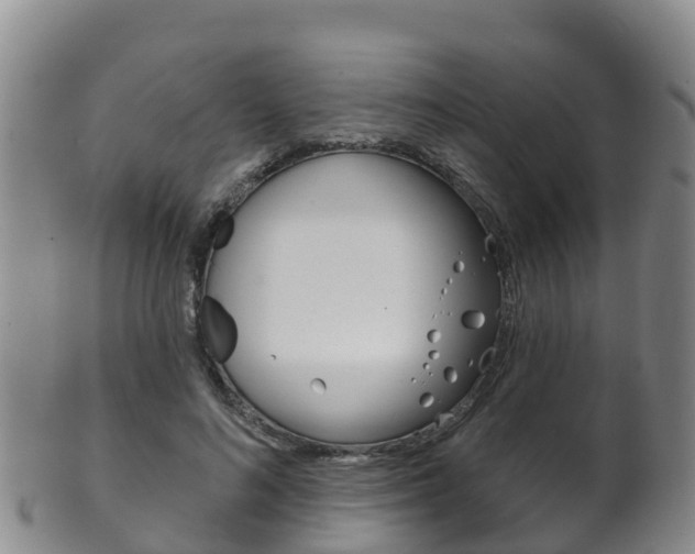 X0000102530692200808081053