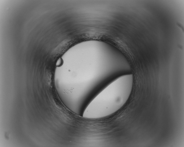 X0000102530693200808081053