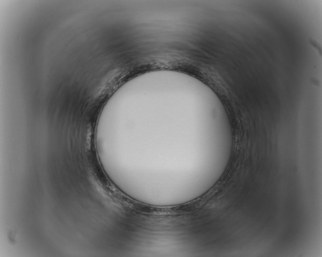 X0000102530694200808081053