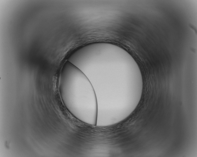 X0000102530695200808081053
