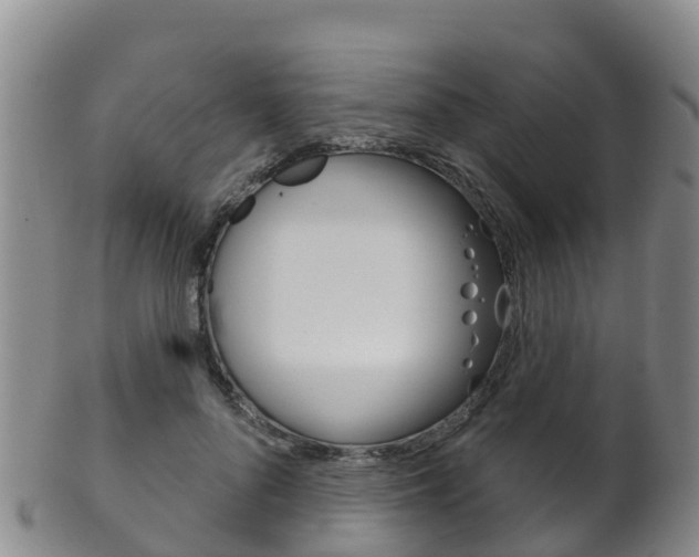 X0000102530696200808081053