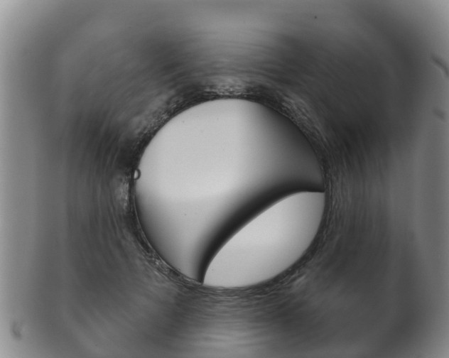 X0000102530697200808081053