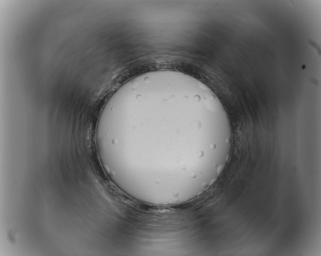 X0000102530698200808081053