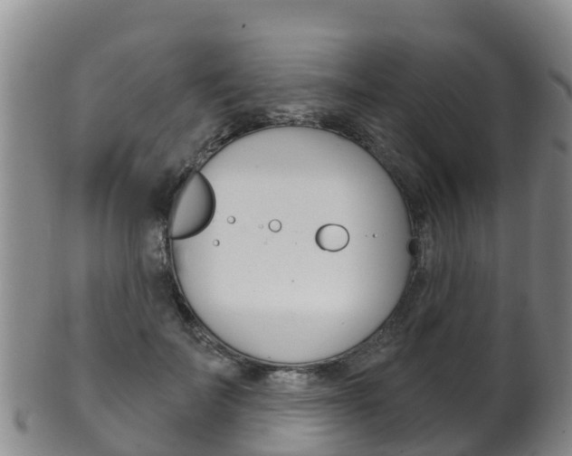 X0000102530699200808081053