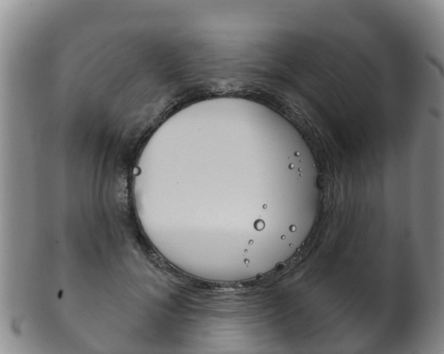 X0000102530700200808081052