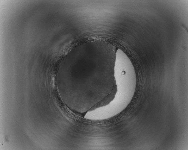 X0000102530703200808081052