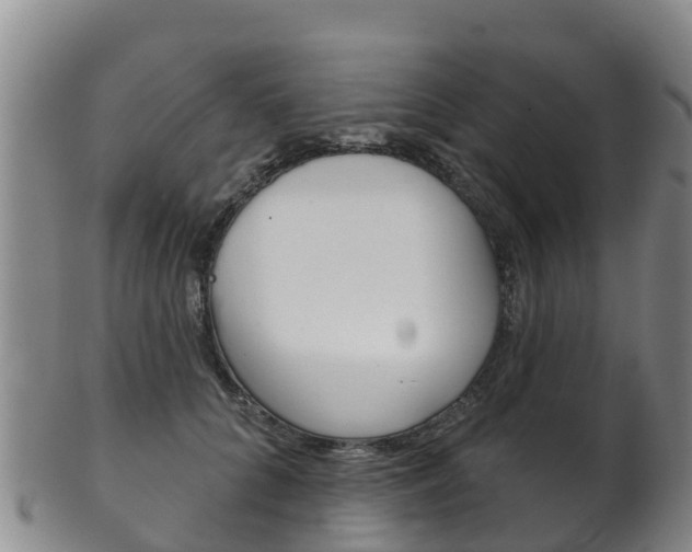 X0000102530704200808081052