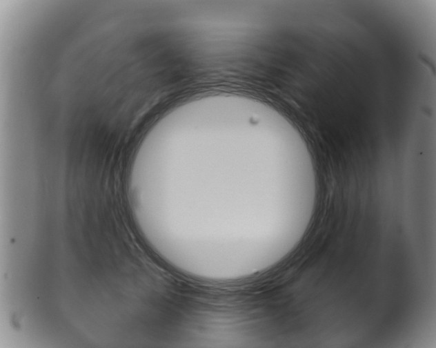 X0000102530705200808081052