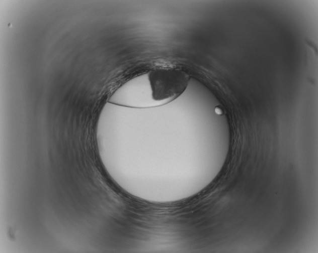 X0000102530707200808081052