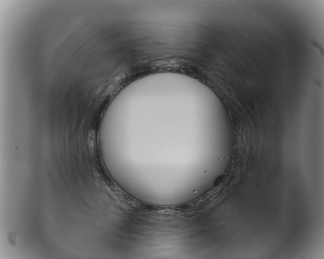 X0000102530708200808081052