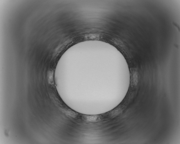 X0000102530709200808081052
