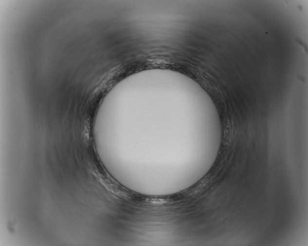 X0000102530710200808081052
