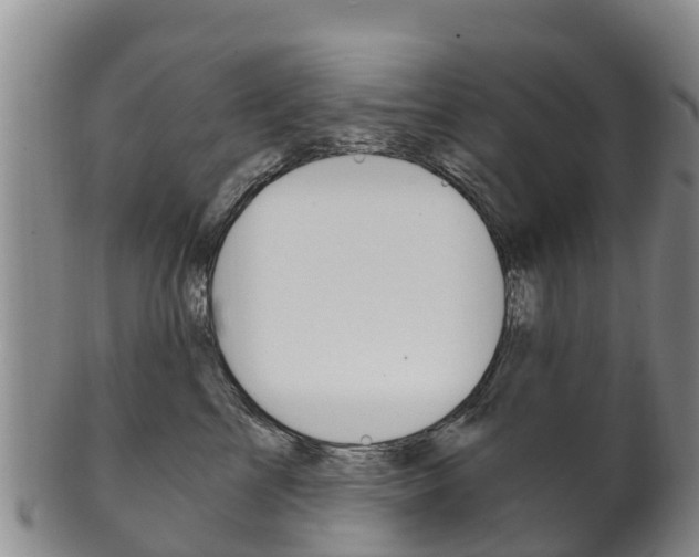 X0000102530713200808081052