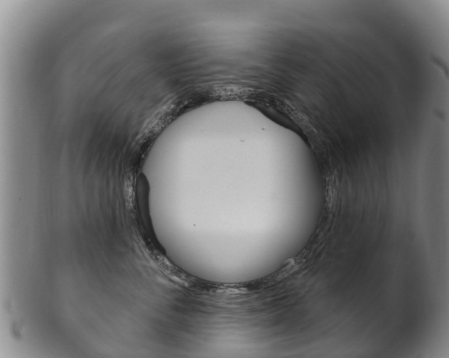 X0000102530716200808081052