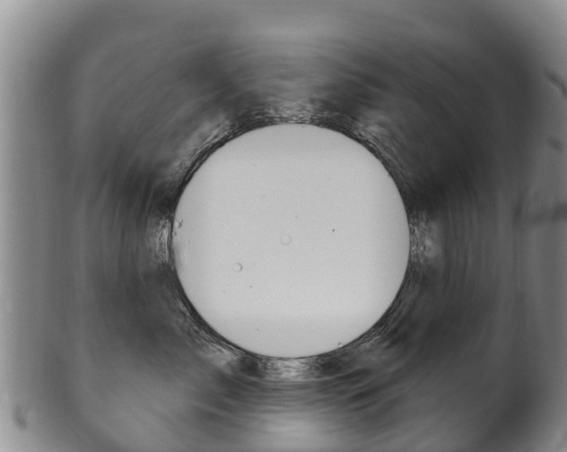 X0000102530717200808081052