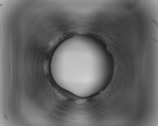 X0000102530720200808081052