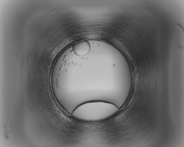 X0000102530721200808081051