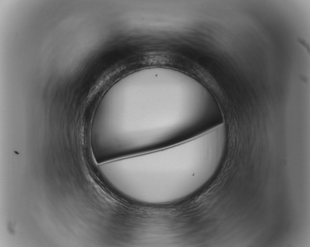 X0000102530722200808081051