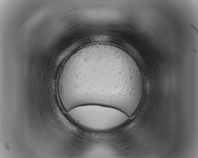 X0000102530725200808081051