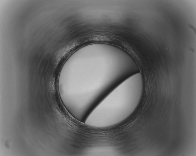 X0000102530727200808081051