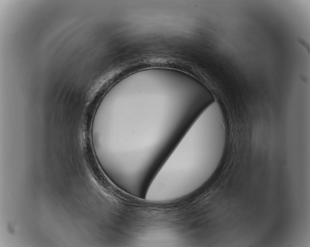 X0000102530728200808081051