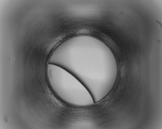 X0000102530729200808081051