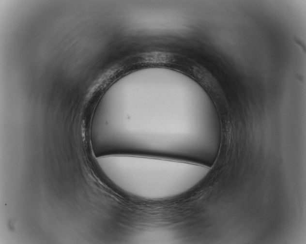 X0000102530731200808081052