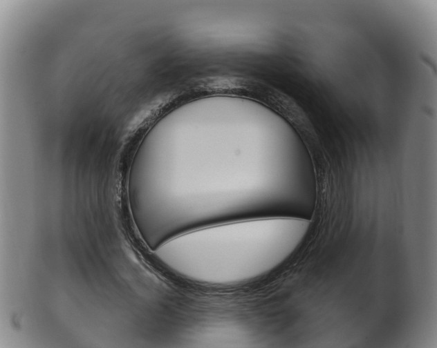X0000102530732200808081052