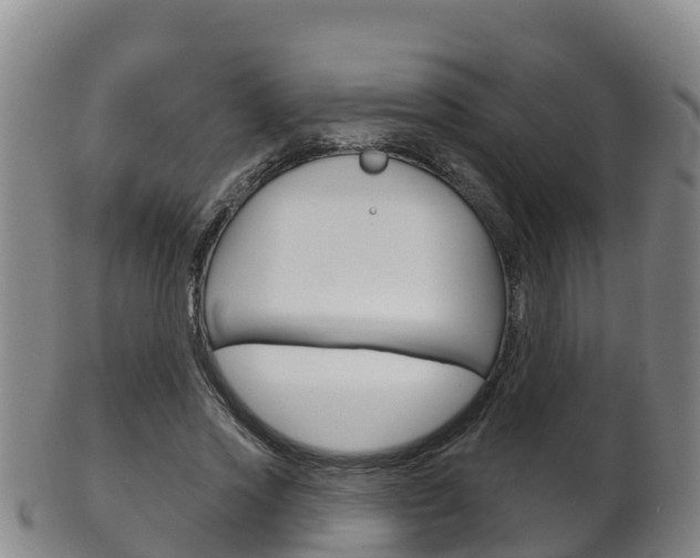 X0000102530733200808081052