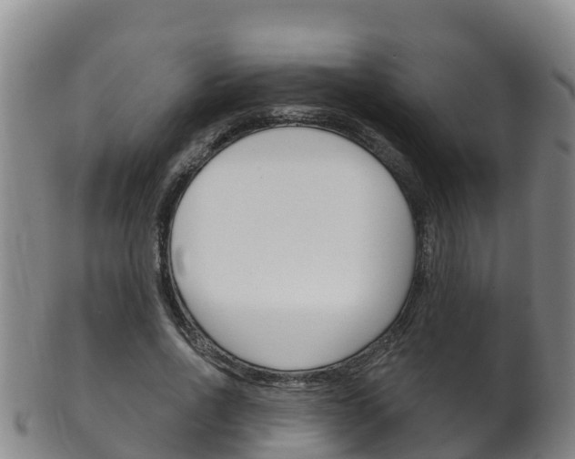 X0000102530734200808081052