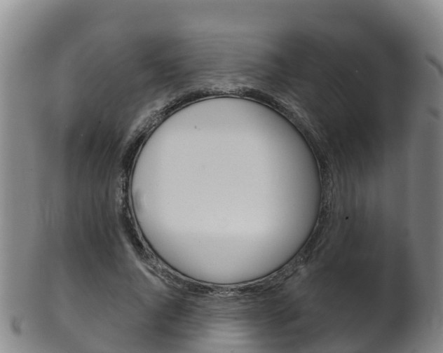 X0000102530736200808081052