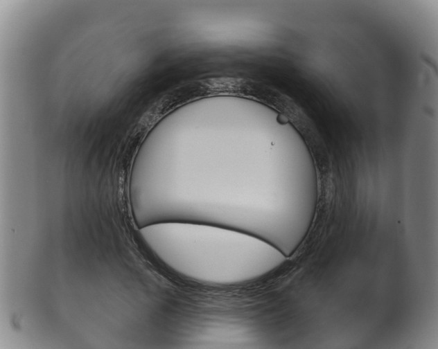 X0000102530737200808081052
