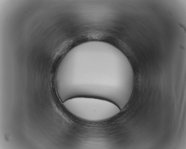 X0000102530738200808081052
