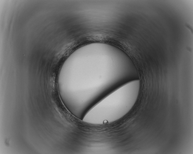 X0000102530739200808081052