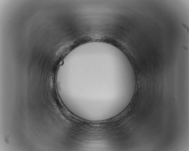 X0000102530740200808081052