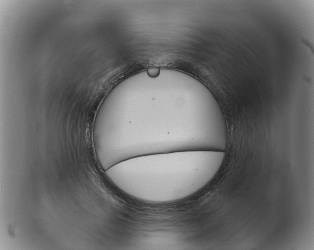 X0000102530741200808081052