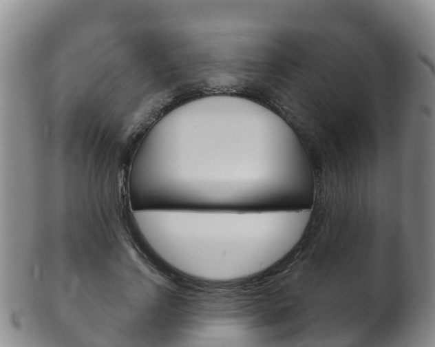 X0000102530742200808081052