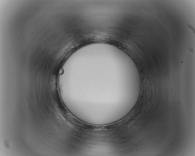 X0000102530744200808081052