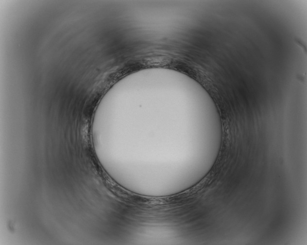 X0000102530745200808081052