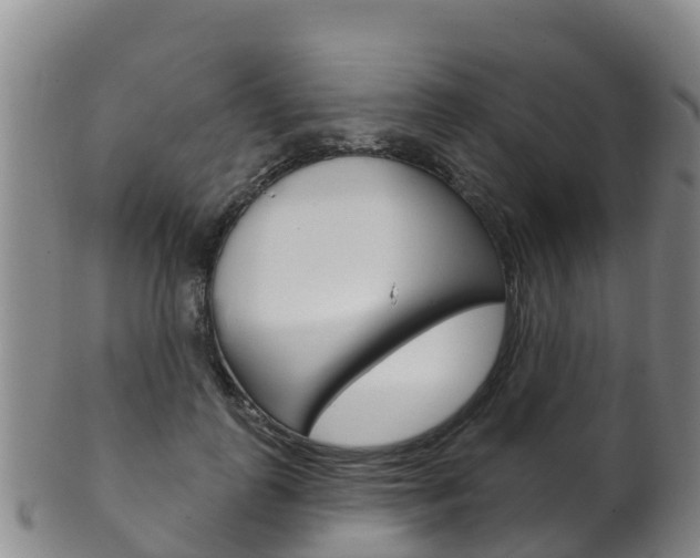 X0000102530747200808081052