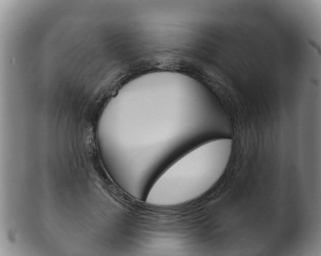 X0000102530748200808081052