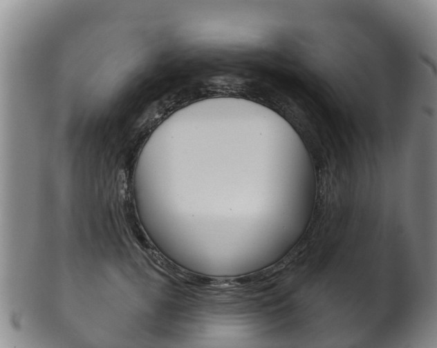 X0000102530752200808081052
